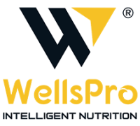 Wellspro-Nutrition-website-development-200x180